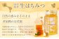 国産 無添加 MINOKAMO HONEY はちみつ（500g）
