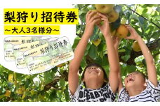 梨狩り 招待券（大人3名分）| 山之上果実農業協同組合 M12S117