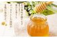 国産 無添加 MINOKAMO HONEY はちみつ 3本（300g×3）