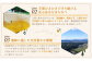 国産 無添加 MINOKAMO HONEY はちみつ 3本（300g×3）