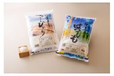 【レビューキャンペーン対象商品】岐阜県 産 ハツシモ 5kg ・ 岐阜県 産 コシヒカリ 5kg 各1袋 味比べセット | お米 米 白米 精米 ごはん 食べ比べ