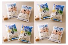 【レビューキャンペーン対象商品】【 頒布会 】岐阜県 コシヒカリ ・ ハツシモ 食べ比べ コース（全4回） | お米 米 白米 精米 ごはん