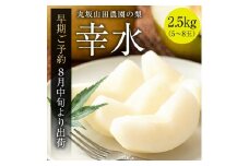 【先行予約】山之上 梨 １箱 幸水 2.5kg 程度 | 丸坂山田農園  幸水梨 なし こうすい 約2.5kg フルーツ 果物 旬 新鮮 甘い 贈り物 ギフト 岐阜 美濃加茂 美濃加茂市 M10S124