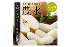 【先行予約】山之上 梨 １箱 豊水 2.5kg程度 | 丸坂山田農園  果物 フルーツ なし ほうすい 旬 旬の果物 新鮮  M10S125