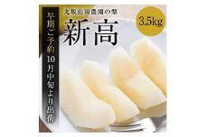 【先行予約】【2024年10月中旬より順次発送】 山之上 梨 １箱 新高 3.5kg程度 | 丸坂山田農園 果物 フルーツ なし にいたか 旬 新鮮 旬の果物 M11S70