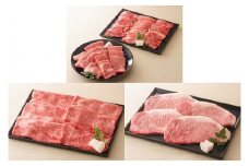 【レビューキャンペーン対象商品】飛騨牛 食べ比べ ３回コース （バラ 肩ロース サーロイン） | お肉 肉 牛肉 ブランド牛 焼肉 すき焼き ステーキ