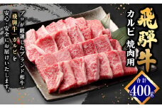 【レビューキャンペーン対象商品】飛騨牛 カルビ 焼肉用 400g | 肉のかた山 牛肉 肉 お肉 和牛 黒毛和牛 国産 焼肉 冷凍 M16S31