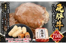 【レビューキャンペーン対象商品】飛騨牛 ハンバーグ 5枚 セット（1枚150g） ウインナー コロッケ 5個付き 1個当たり60g | 肉のかた山 牛肉 肉 お肉 惣菜 冷凍 M16S29