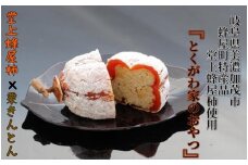 とくがわ家のおやつ ５個入り | 川登屋 堂上蜂屋柿 蜂屋柿 柿 和菓子 縁起物 ギフト