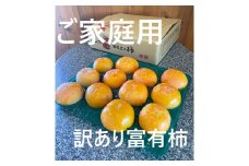 【レビューキャンペーン対象商品】【先行受付】【 数量限定 】 精華園 の 家庭用 訳あり 富有柿 約3.3kg  【2025年12月上旬～12月下旬迄発送予定】