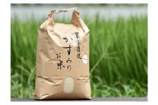 【レビューキャンペーン対象商品】令和6年産米 美濃加茂の お米 定期便（毎月） 4回セット ( 10kg×4回 ) | ハツシモ 春見ライス 米 コメ