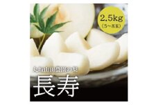 【先行受付】「丸坂山田農園」山之上 梨 1箱 ( 長寿 2.5kg 程度) | M09S66