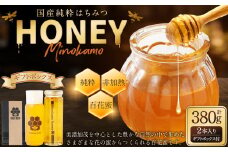 【レビューキャンペーン対象商品】国産 無添加 MINOKAMO HONEY はちみつギフトBOX（2本入）| 藤井養蜂 蜂蜜 非加熱 百花蜜 ギフト 贈り物 プレゼント M13S45