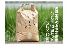【レビューキャンペーン対象商品】【予約】 令和6年産米 美濃加茂のお米定期便12回セット（5kg×12回） | ハツシモ 春見ライス 米 コメ