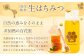 国産 無添加 MINOKAMO HONEY はちみつ （ 200g × 2本 ）