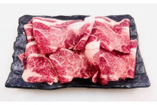 【レビューキャンペーン対象商品】飛騨牛 切り落とし 300g | 丸坂山田農園 A5 牛肉 お肉 ブランド牛 和牛 黒毛和牛 国産 M08S76