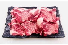 飛騨牛 切り落とし 300g | 丸坂山田農園 A5 牛肉 お肉 ブランド牛 和牛 黒毛和牛 国産 M08S76