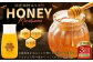 【3ヶ月定期便】国産 無添加 MINOKAMO HONEY はちみつ（300g）