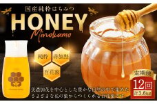 【レビューキャンペーン対象商品】【12ヶ月定期便】国産 無添加 MINOKAMO HONEY はちみつ 1本（300g）×12回 ｜ 藤井養蜂 蜂蜜 ハニー 非加熱 純粋 百花蜜 定期便 岐阜