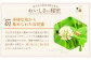 【12ヶ月定期便】国産 無添加 MINOKAMO HONEY はちみつ（300g）×12回