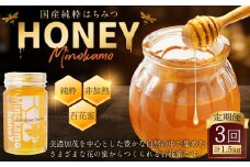 【レビューキャンペーン対象商品】【3ヶ月定期便】国産 無添加 MINOKAMO HONEY はちみつ 1本（500g）×3回 ｜ 藤井養蜂 蜂蜜 ハニー 非加熱 純粋 百花蜜 定期便 岐阜