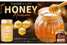 【レビューキャンペーン対象商品】【6ヶ月定期便】国産 無添加 MINOKAMO HONEY はちみつ 1本（500g）×6回 ｜ 藤井養蜂 蜂蜜 ハニー 純粋 非加熱 百花蜜 定期便 岐阜