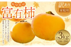 《訳あり》山之上産 富有柿 家庭用 3kg（10個～18個）| 果物 くだもの フルーツ 柿 かき 旬 先行予約 【2024年11月上旬～2024年11月下旬 発送予定】