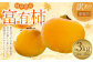 《訳あり》山之上産 富有柿 家庭用 3kg（10個～18個）