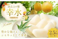 【レビューキャンペーン対象商品】《先行予約》 「山之上果実農業協同組合」 山之上の梨 幸水 1箱 約 2.5kg 5-8玉 梨 なし ナシ フルーツ 果物 旬  【2025年8月上旬-8月下旬 発送予定】