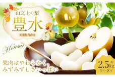 【レビューキャンペーン対象商品】《先行予約》 「山之上果実農業協同組合」 山之上の梨 豊水 1箱 約 2.5kg 5-8玉 梨 なし ナシ 果物 旬 旬の果物【2025年9月上旬-9月下旬 発送予定】