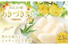 【レビューキャンペーン対象商品】《先行予約》 「山之上果実農業協同組合」 山之上の梨 あきづき梨 1箱 約 2.5kg 5-8玉 梨 なし ナシ フルーツ 果物 旬 【2025年9月上旬-10月上旬 発送予定】