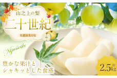 【レビューキャンペーン対象商品】《先行予約》 「山之上果実農業協同組合」 山之上の梨 二十世紀 1箱 約2.5kg 梨 なし ナシ 果物 フルーツ 旬 【2025年9月上旬-10月上旬 発送予定】