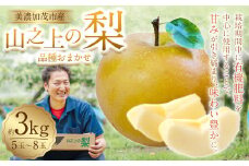 【レビューキャンペーン対象商品】《先行予約》山之上の梨 （品種はおまかせ） 約 3kg （5～8玉） | 梨 なし 果物 フルーツ 旬  【2025年8月上旬-10月上旬 発送予定】