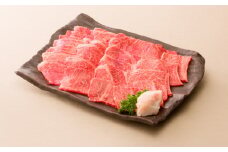 【レビューキャンペーン対象商品】 飛騨牛 焼肉・バーベキュー用 肩ロース 約600g