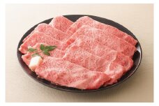 【レビューキャンペーン対象商品】飛騨牛 しゃぶしゃぶ 用 ロース 肉 700g | お肉 肉 牛肉 ブランド牛 和牛 黒毛和牛