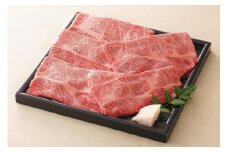 【レビューキャンペーン対象商品】飛騨牛 すき焼き 用 肩ロース 肉 750g | お肉 肉 牛肉 ブランド牛 和牛 黒毛和牛