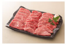 【レビューキャンペーン対象商品】飛騨牛 モモ 焼肉 用 500g | お肉 肉 牛肉 ブランド牛 和牛 黒毛和牛