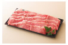 【レビューキャンペーン対象商品】飛騨牛 三角 バラ カルビ 焼肉 用 500g