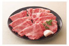 【レビューキャンペーン対象商品】飛騨牛  肩 ロース 大判焼肉 500g
