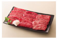 【レビューキャンペーン対象商品】飛騨牛 モモ 焼肉 用 300g | 牛肉 お肉 ブランド牛 和牛 黒毛和牛 国産 赤身