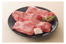 【レビューキャンペーン対象商品】飛騨牛 ミスジ すき焼き 用 500g | お肉 肉 牛肉 ブランド牛 和牛 黒毛和牛