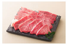 【レビューキャンペーン対象商品】飛騨牛 バラ カルビ 焼肉 用 250g | 牛肉 お肉 ブランド牛 和牛 黒毛和牛 国産