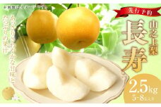 【レビューキャンペーン対象商品】《先行予約》｢丸坂山田農園｣山之上梨 長寿 1箱 （約2.5kg／5～8玉）【2025年7月下旬～8月上旬 発送予定】│フルーツ なし 梨 果物 岐阜県 美濃加茂市