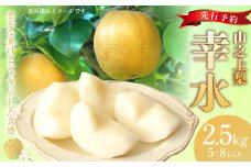 【レビューキャンペーン対象商品】《先行予約》｢丸坂山田農園｣ 山之上梨 幸水 1箱 （約2.5kg／5～8玉）　【2025年8月上旬～8月下旬 発送予定】│  梨 ナシ 果物 果実 フルーツ 冷蔵 国産 岐阜県 美濃加茂市