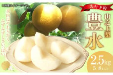 【レビューキャンペーン対象商品】《先行予約》｢丸坂山田農園｣ 山之上梨 豊水 1箱 （約2.5kg／5～8玉）【2025年8月下旬～9月上旬 発送予定】│梨 ナシ 冷蔵 岐阜県産 国産 岐阜県 美濃加茂市