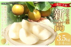 【レビューキャンペーン対象商品】《先行予約》｢丸坂山田農園｣ 山之上梨 新高 1箱 （約3.5kg／3～6玉）【2025年9月上旬～9月下旬 発送予定】│ 梨  果物 フルーツ 冷蔵 岐阜県産 国産 岐阜県 美濃加茂市