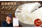 岐阜のお米 ハツシモ 初霜 5kg
