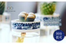【美濃焼】SaiSui Blue（間取藍花）【大東亜窯業】【TOKI MINOYAKI返礼品】鉢 園芸 インテリア [MAG008]