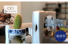【美濃焼】SaiSui Blue（菊唐草）【大東亜窯業】【TOKI MINOYAKI返礼品】鉢 園芸 インテリア [MAG007]
