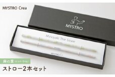 【美濃焼】MYSTRO Primo ストロー2本セット（麻の葉（ピンク・ライム））陶磁器製ストロー【カネス】 マイストロー マドラー [MBM014]